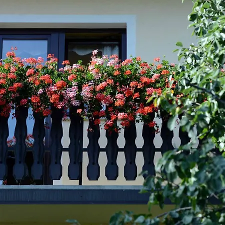 Gasthuis House Koprivnik Zreče