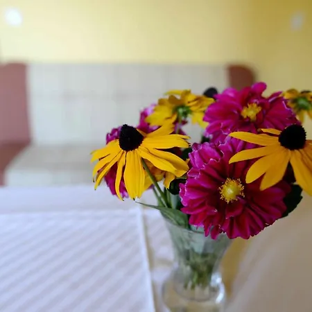 House Koprivnik 3* Zreče