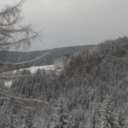 House Koprivnik Zreče