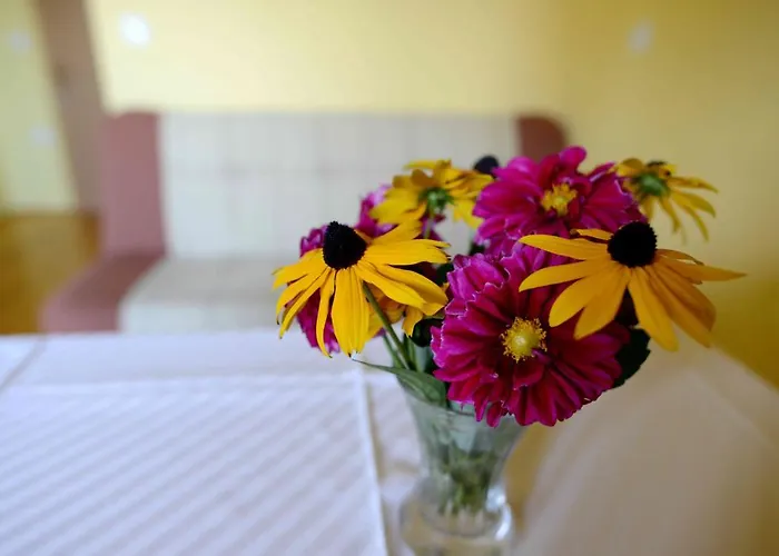 House Koprivnik 3* Zreče