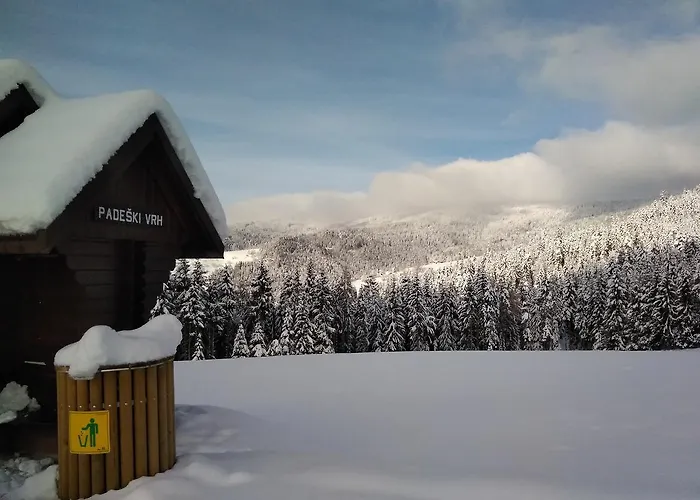 بيت ضيافة House Koprivnik 3*